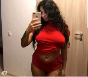 Tene transexual sex contacts in Ilchester